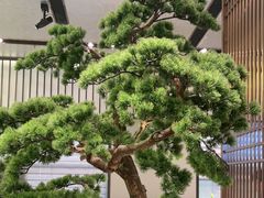 -聆桂烤鸭·金奖烤鸭(静联广场店)