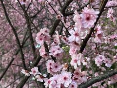 -龙湖杭州滨江天街