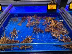 -万宝海鲜舫(劳动公园店)