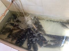 -水库活鱼馆(于桥水库店)
