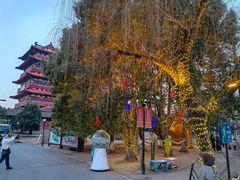 -祥源·阜阳生态乐园