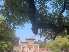 -北陵公园