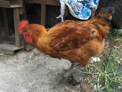 -大地影院(上海南汇店)