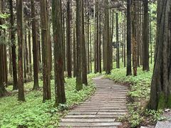 -罗田薄刀峰风景区