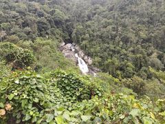 -海南热带雨林国家公园吊罗山景区