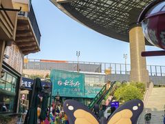-云尊府云南菜·蒸汽石锅鱼(五棵松华熙店)