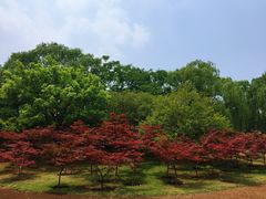 -济南植物园