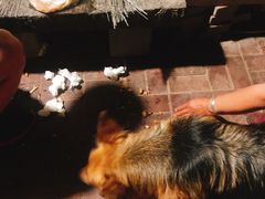 -老三烧烤(二环西路店)