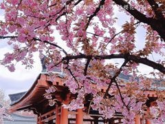 -大慈恩寺(大雁塔)
