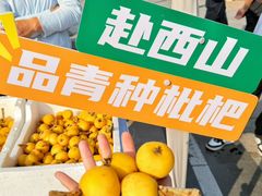 -东山风景区(洞庭东山)
