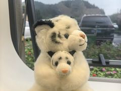 -横道河子东北虎林园