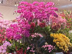 -双季花艺园艺市场(浦东店)