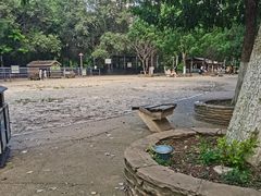 -长白岛森林公园