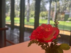-禧宴Joyous Restaurant(禧园店)