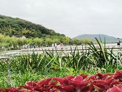 -南北湖风景区