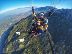 -费特希耶滑翔伞