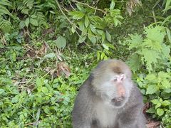 -西岭雪山大飞水景区