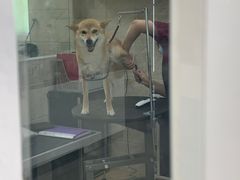 -美联众合动物医院·24h京西诊疗中心