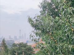 景点-景山公园