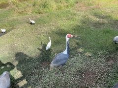-普洱太阳河森林公园