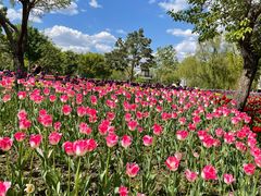 -长春公园(普阳街道)