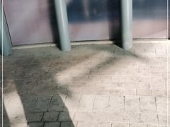 -Dark Horse·黑马蛋糕·低脂·低糖淡奶(金匙望湖大厦店)