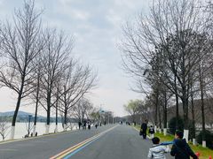 -羊山湖公园