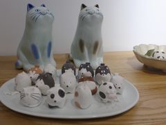 -猫里有甜
