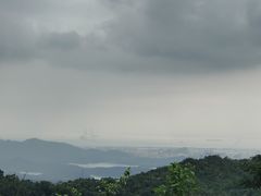 -阳台山森林公园