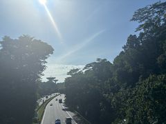 -武吉知马自然保护区