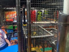 -VFSC极限蹦床主题公园(乐园道彩悦城阳光店)