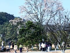 -杭州植物园