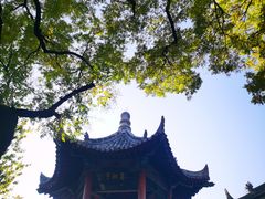 -关中书院
