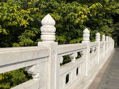 -海珠湖公园