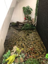 -义乌连天美医疗美容医院