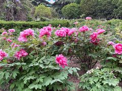 -河南省黄河迎宾馆