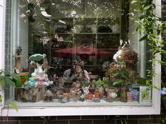 -小洲村