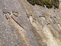 -长沙黑麋峰国家森林公园