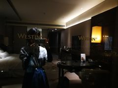 -广交会威斯汀酒店