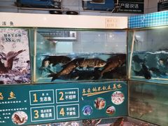 -老傅家湘潭水煮活鱼店(众一国际店)