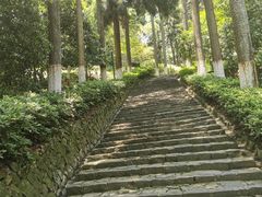 -莫干山风景区