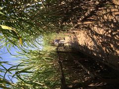 -五甲塘生态湿地公园