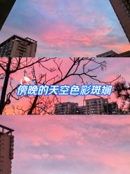-薇薇安花系SPA