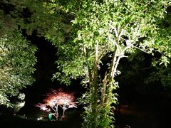-普陀山雷迪森庄园