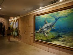 -爱来魔相4D艺术馆(济州中文馆)