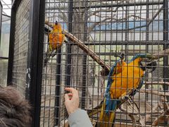 -北京野生动物园