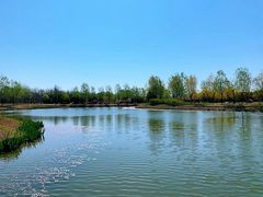 -东郊湿地公园