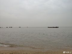 -巨鹏飞梦幻海岸