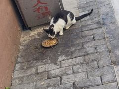 -三点小吃(山大店)