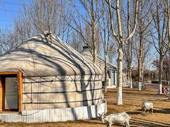 -九十九顶毡房(阜石路店)